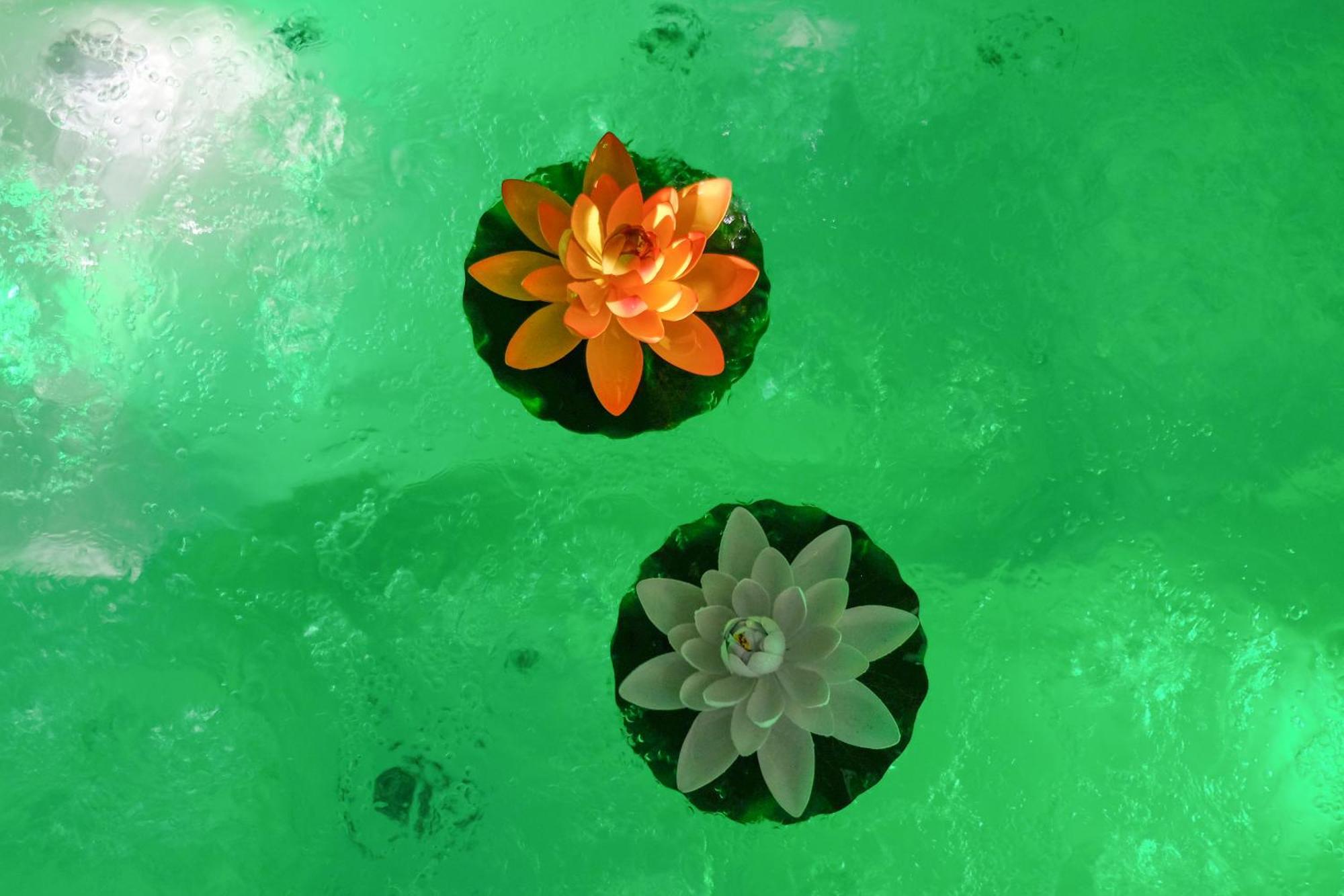 مبيت وإفطار ساليس Les Volets Violets المظهر الخارجي الصورة
